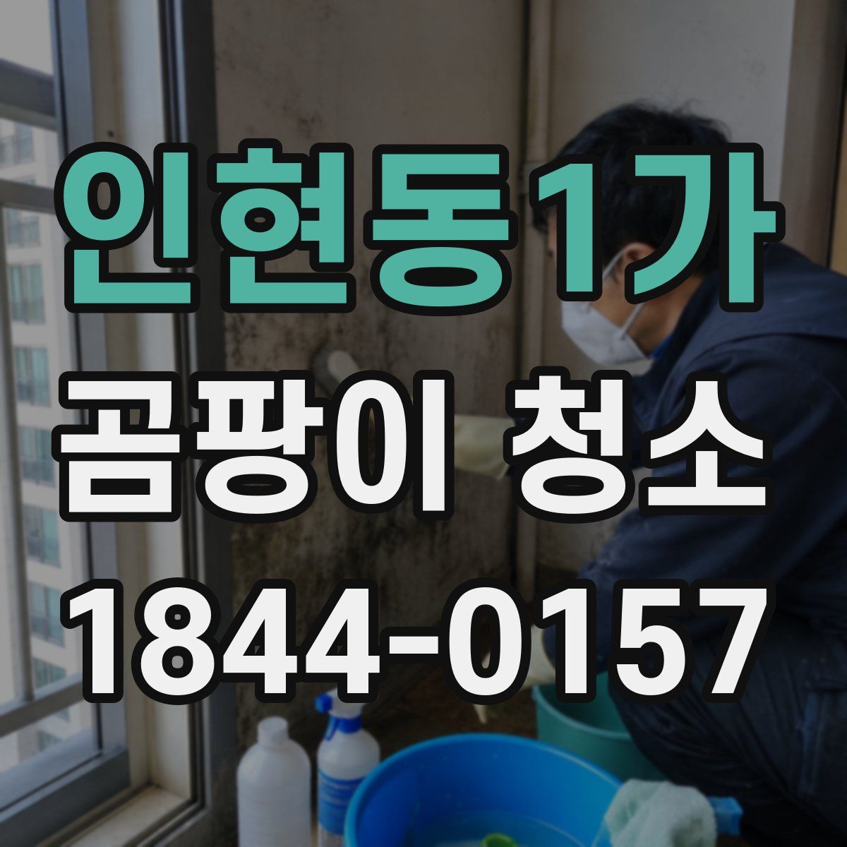 인현동1가 곰팡이 청소