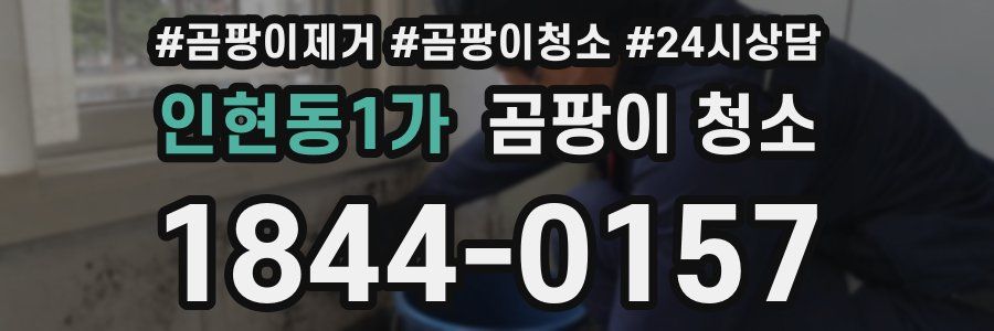 인현동1가 곰팡이 청소