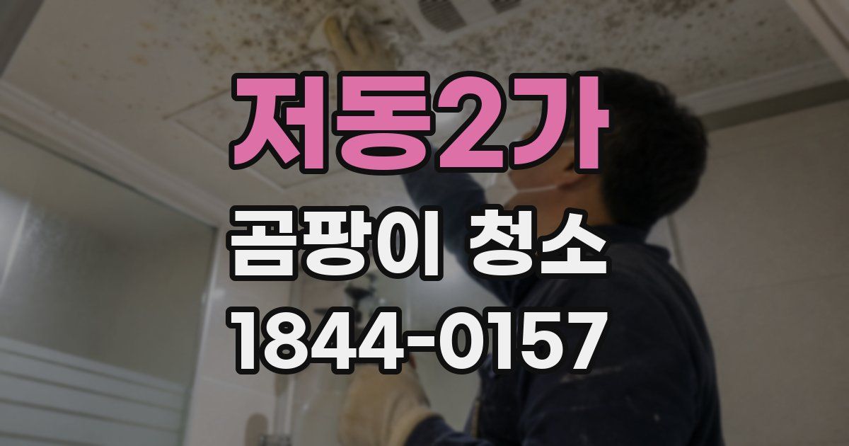 저동2가 곰팡이 청소