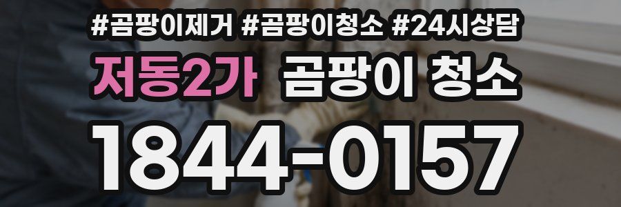 저동2가 곰팡이 청소