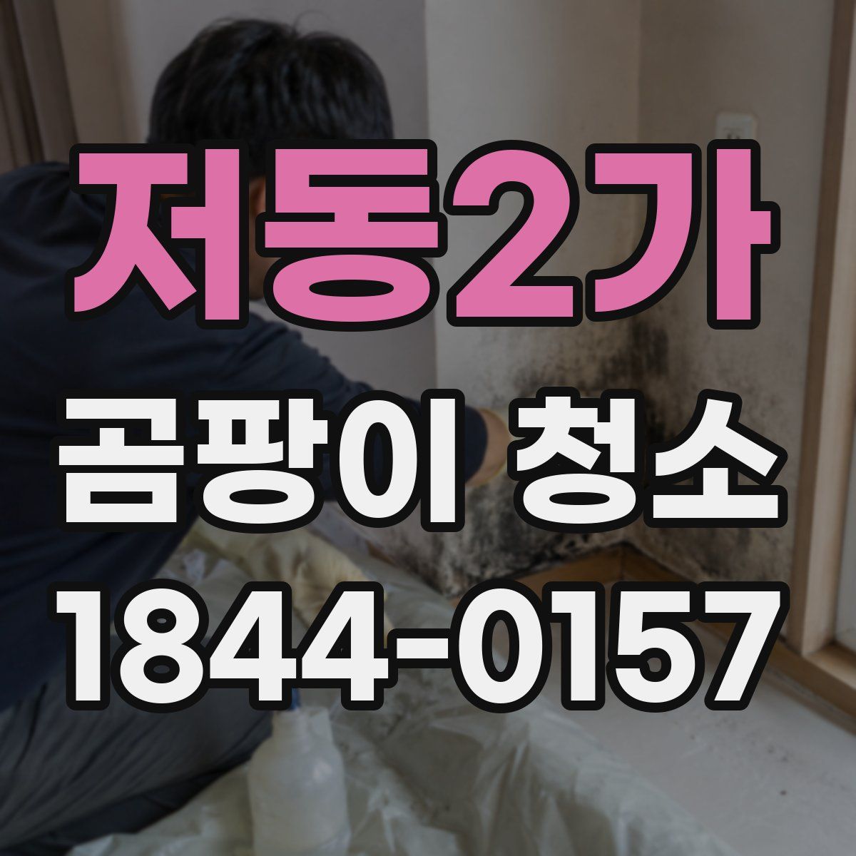 저동2가 곰팡이 청소