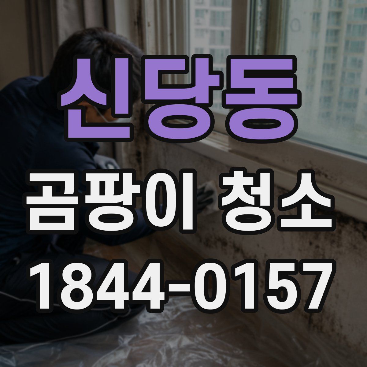 신당동 곰팡이 청소