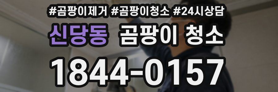신당동 곰팡이 청소
