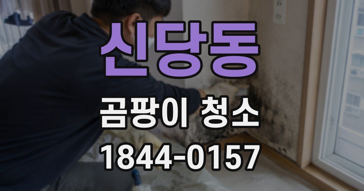 신당동 곰팡이 청소