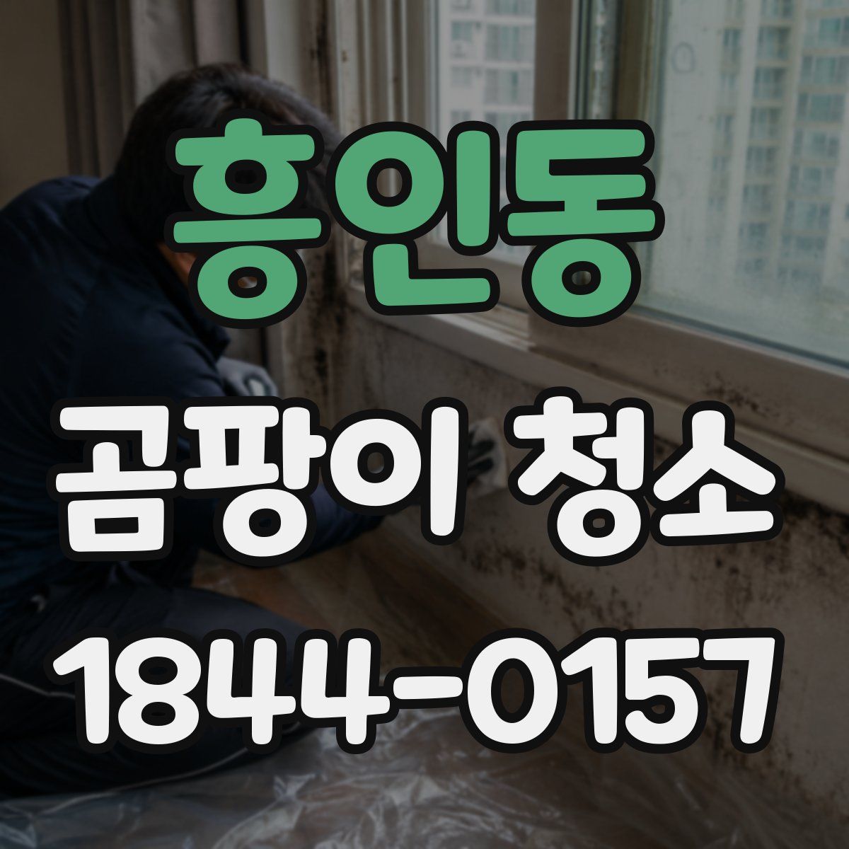 흥인동 곰팡이 청소