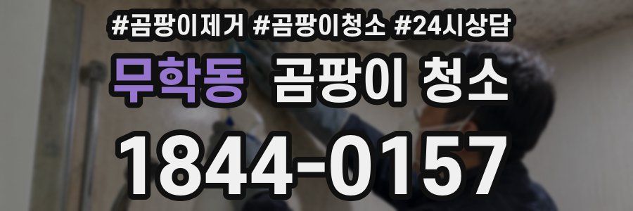 무학동 곰팡이 청소
