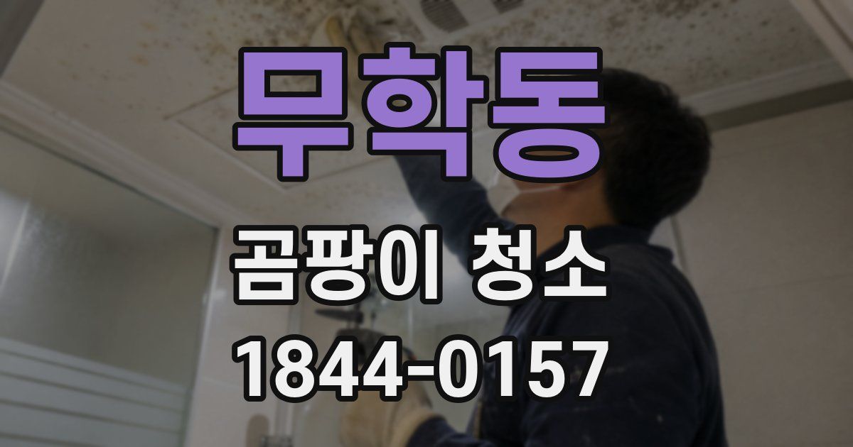 무학동 곰팡이 청소