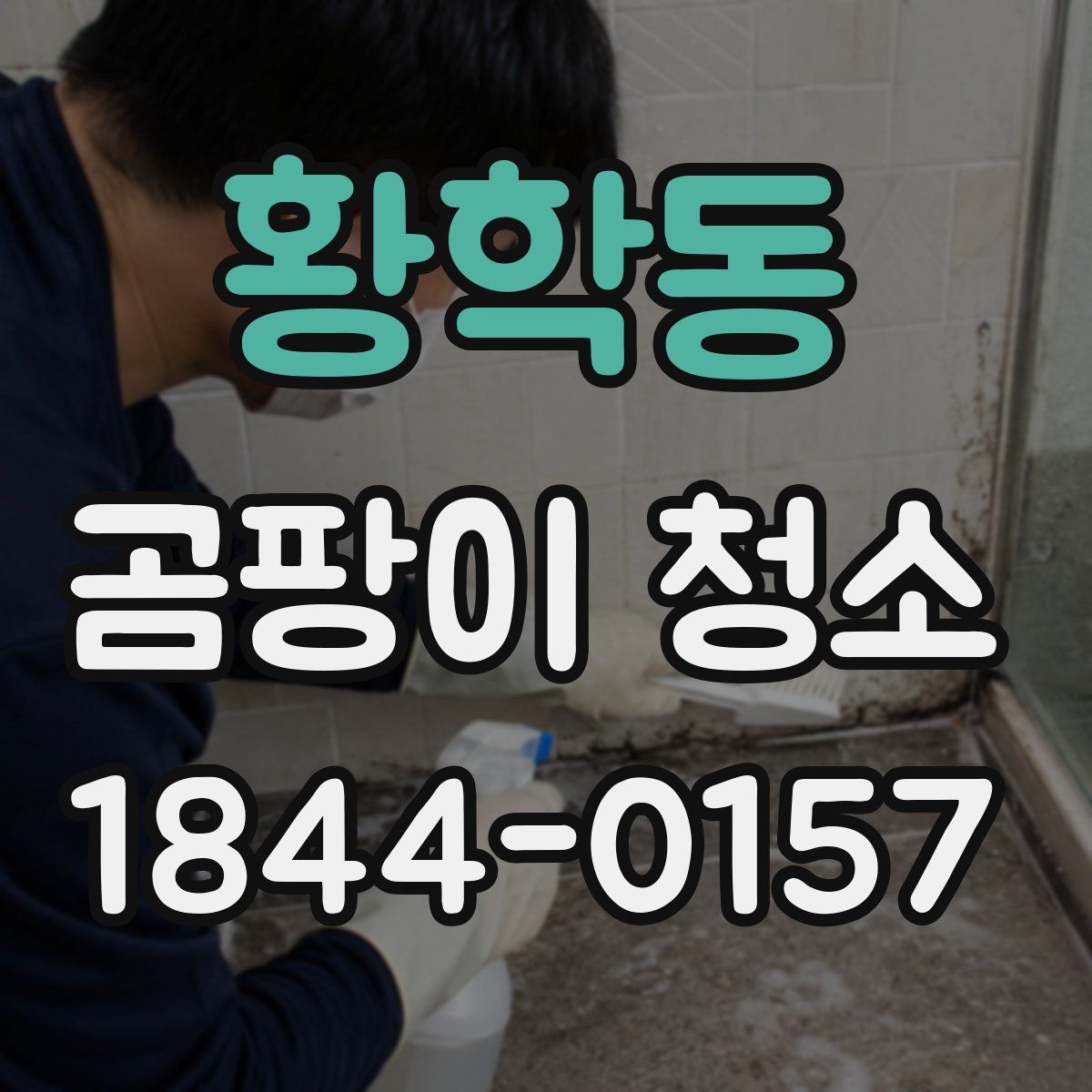 황학동 곰팡이 청소