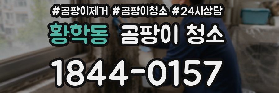 황학동 곰팡이 청소