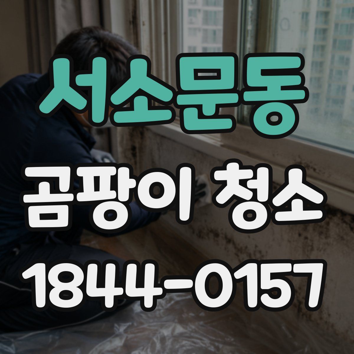 서소문동 곰팡이 청소