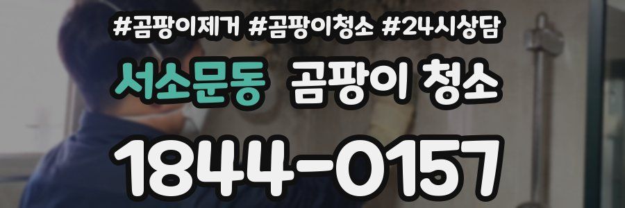 서소문동 곰팡이 청소