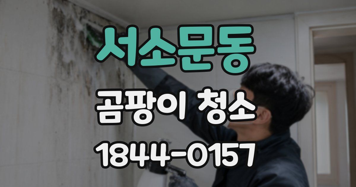 서소문동 곰팡이 청소