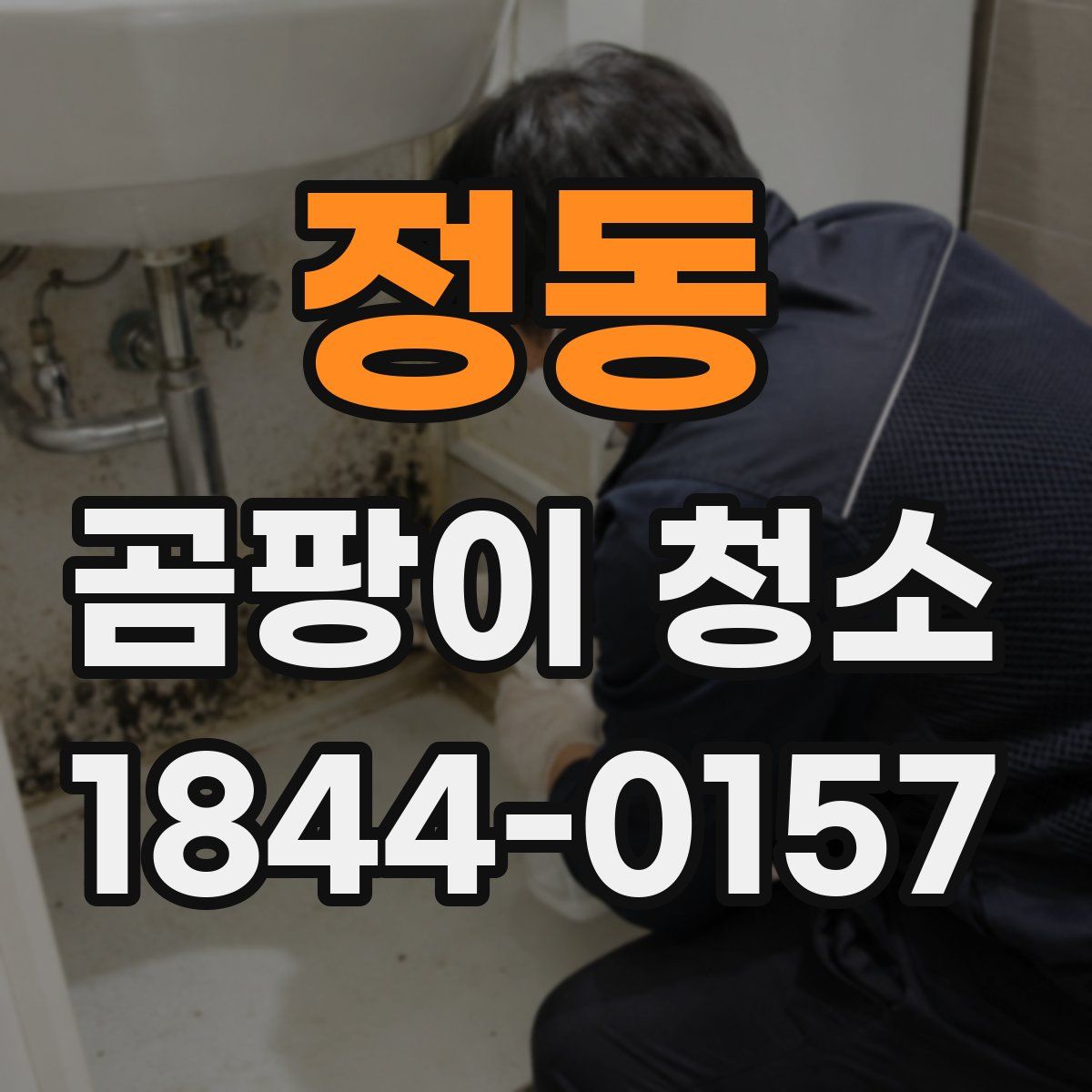 정동 곰팡이 청소