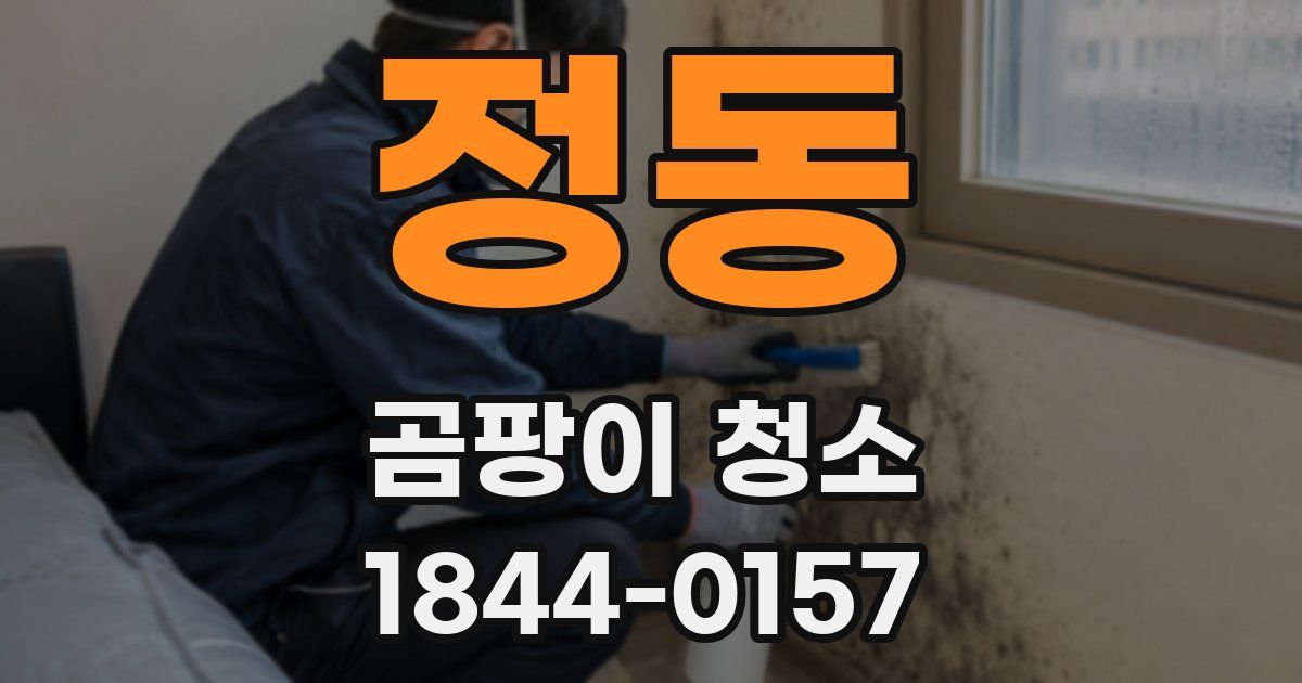정동 곰팡이 청소