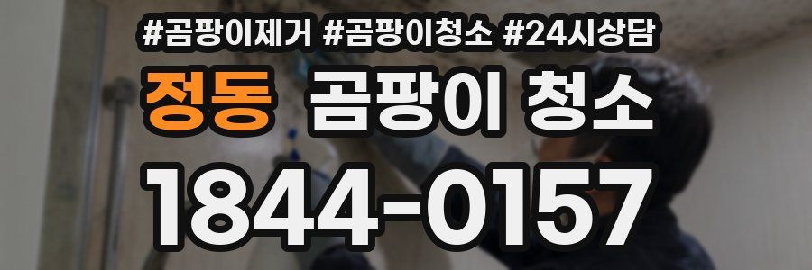 정동 곰팡이 청소