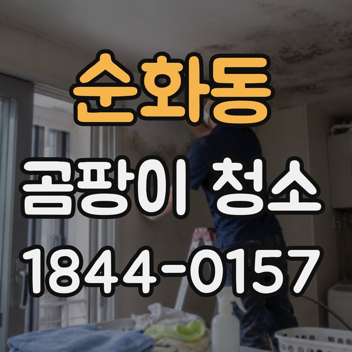 순화동 곰팡이 청소