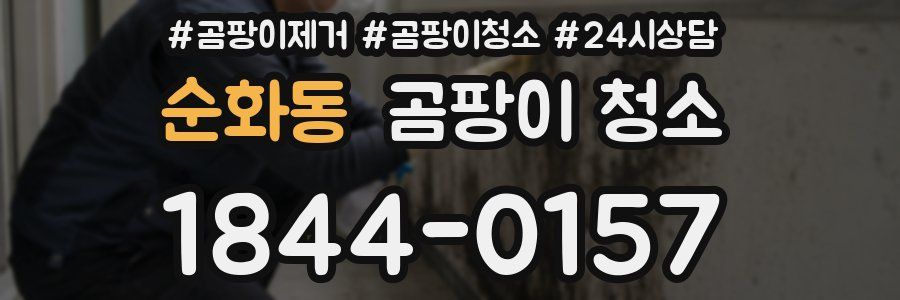 순화동 곰팡이 청소