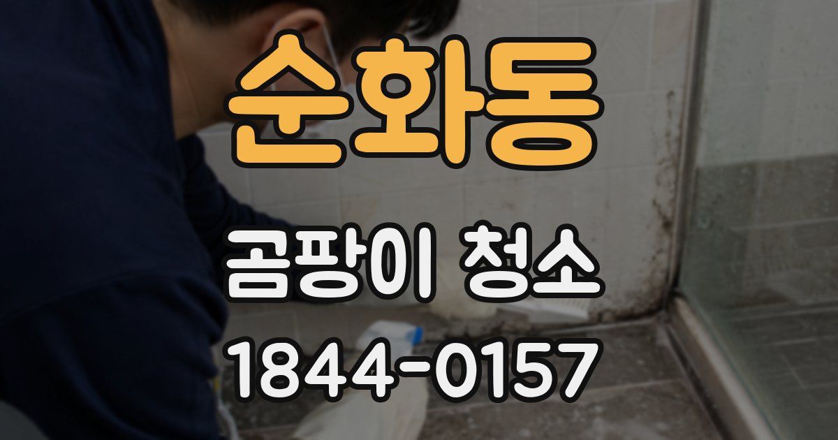 순화동 곰팡이 청소