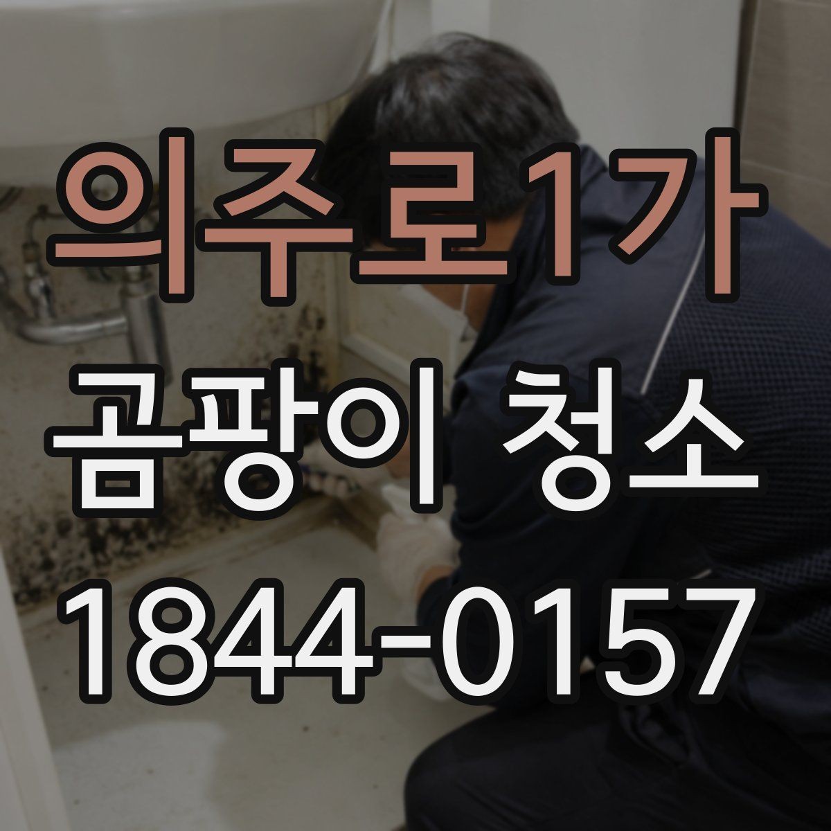 의주로1가 곰팡이 청소 사진으로 남겨두면 좋은 작업 전후 기록