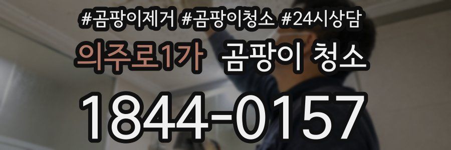 의주로1가 곰팡이 청소
