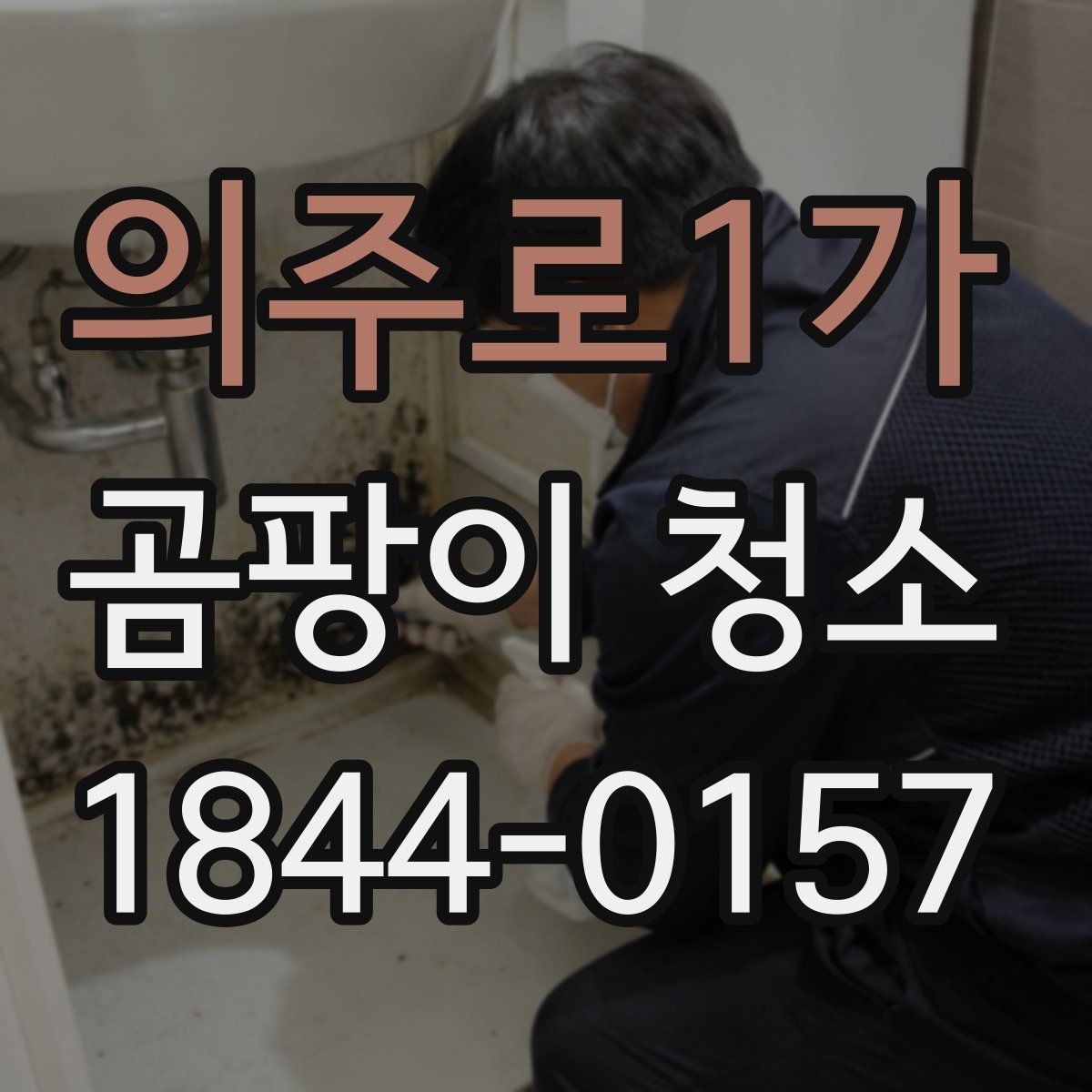 의주로1가 곰팡이 청소