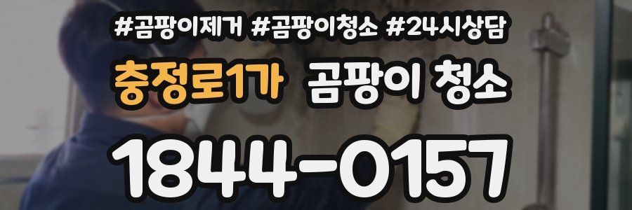 충정로1가 곰팡이 청소
