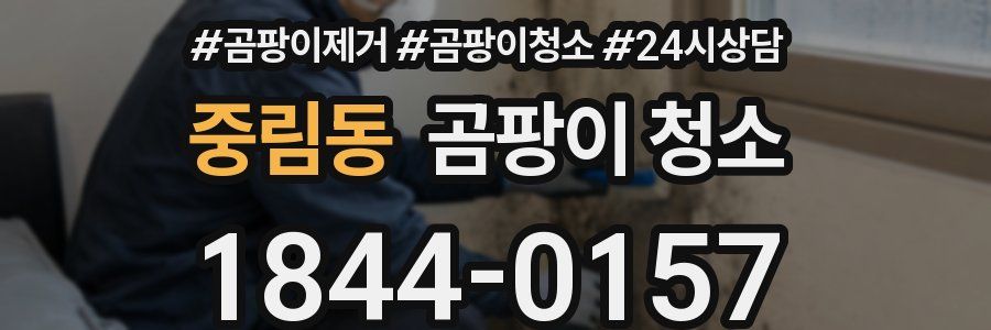 중림동 곰팡이 청소