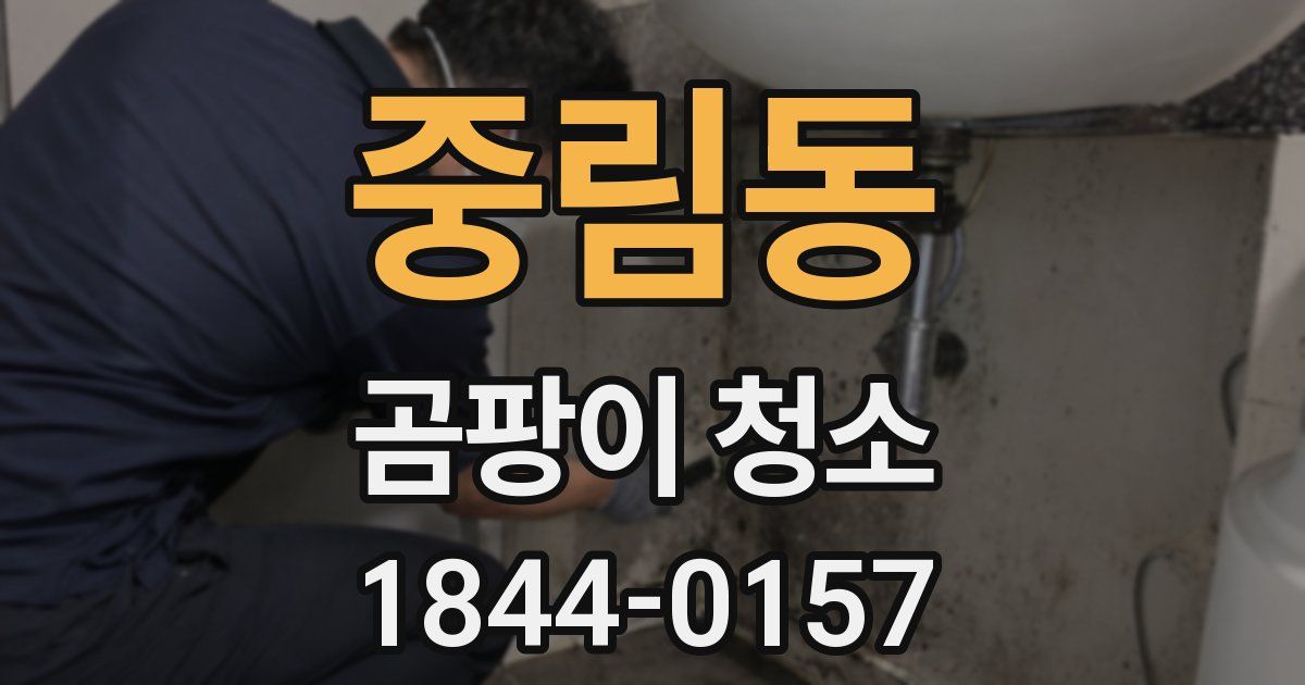 중림동 곰팡이 청소