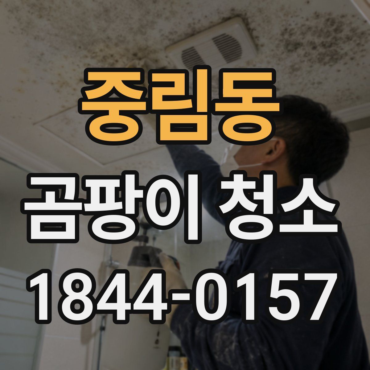 중림동 곰팡이 청소