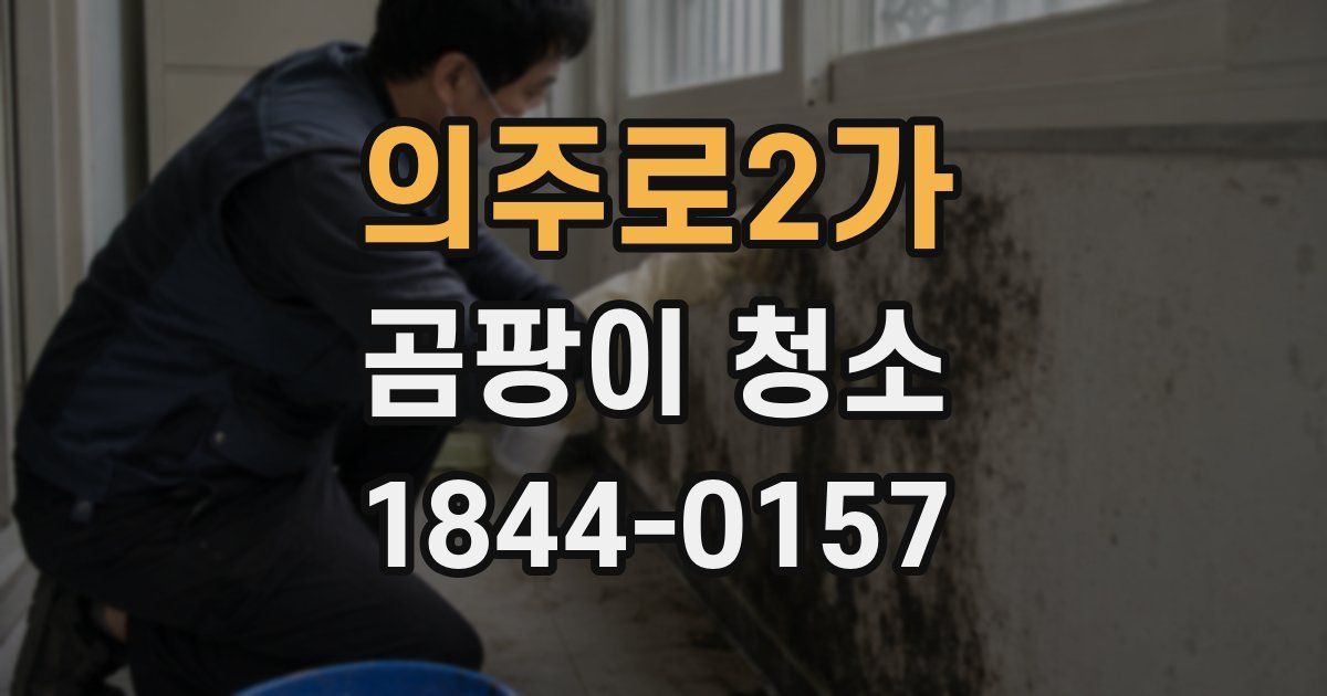 의주로2가 곰팡이 청소