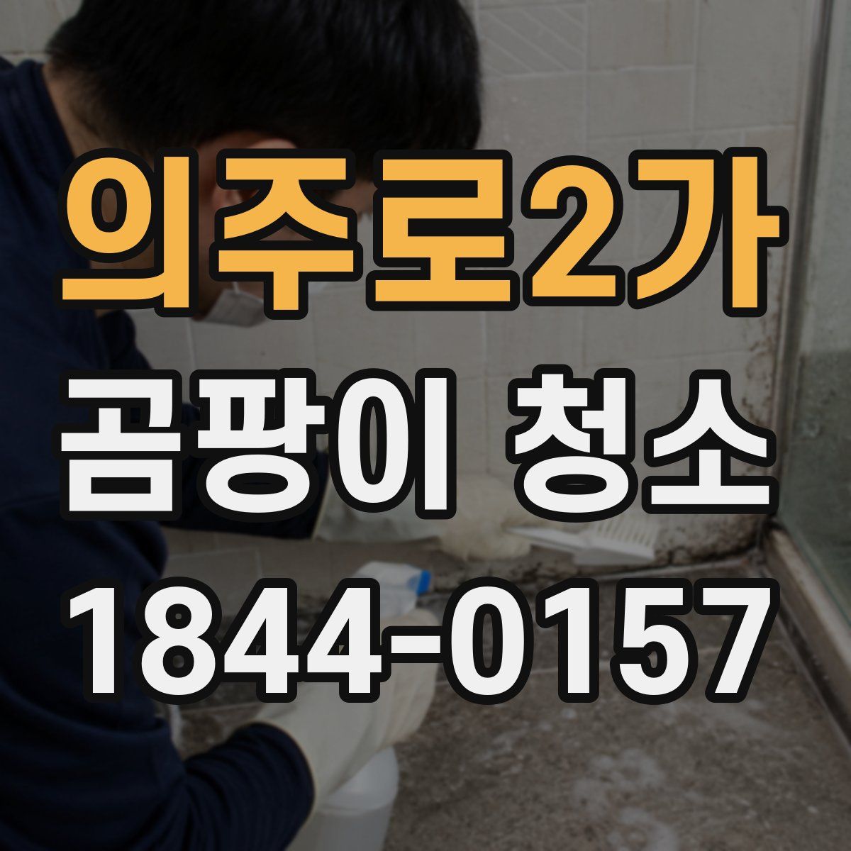 의주로2가 곰팡이 청소