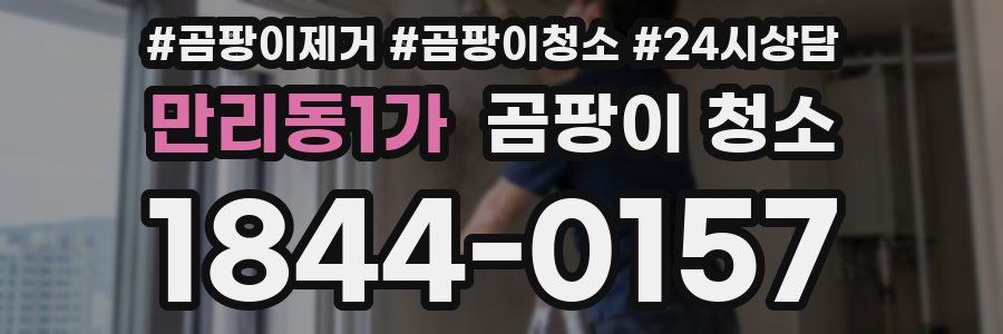 만리동1가 곰팡이 청소