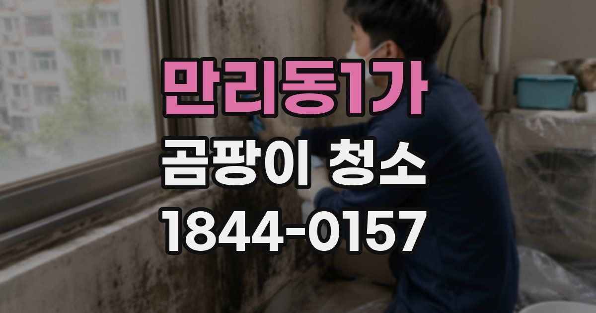 만리동1가 곰팡이 청소