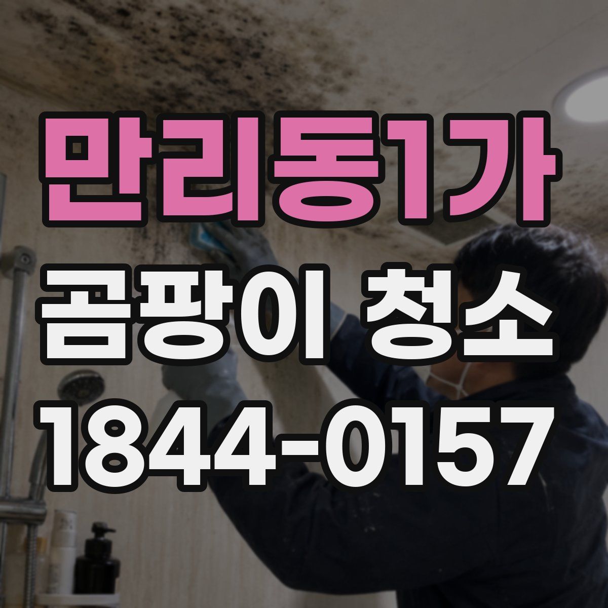 만리동1가 곰팡이 청소