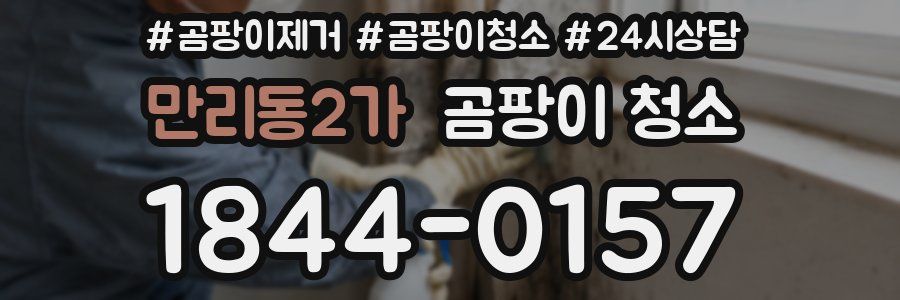 만리동2가 곰팡이 청소