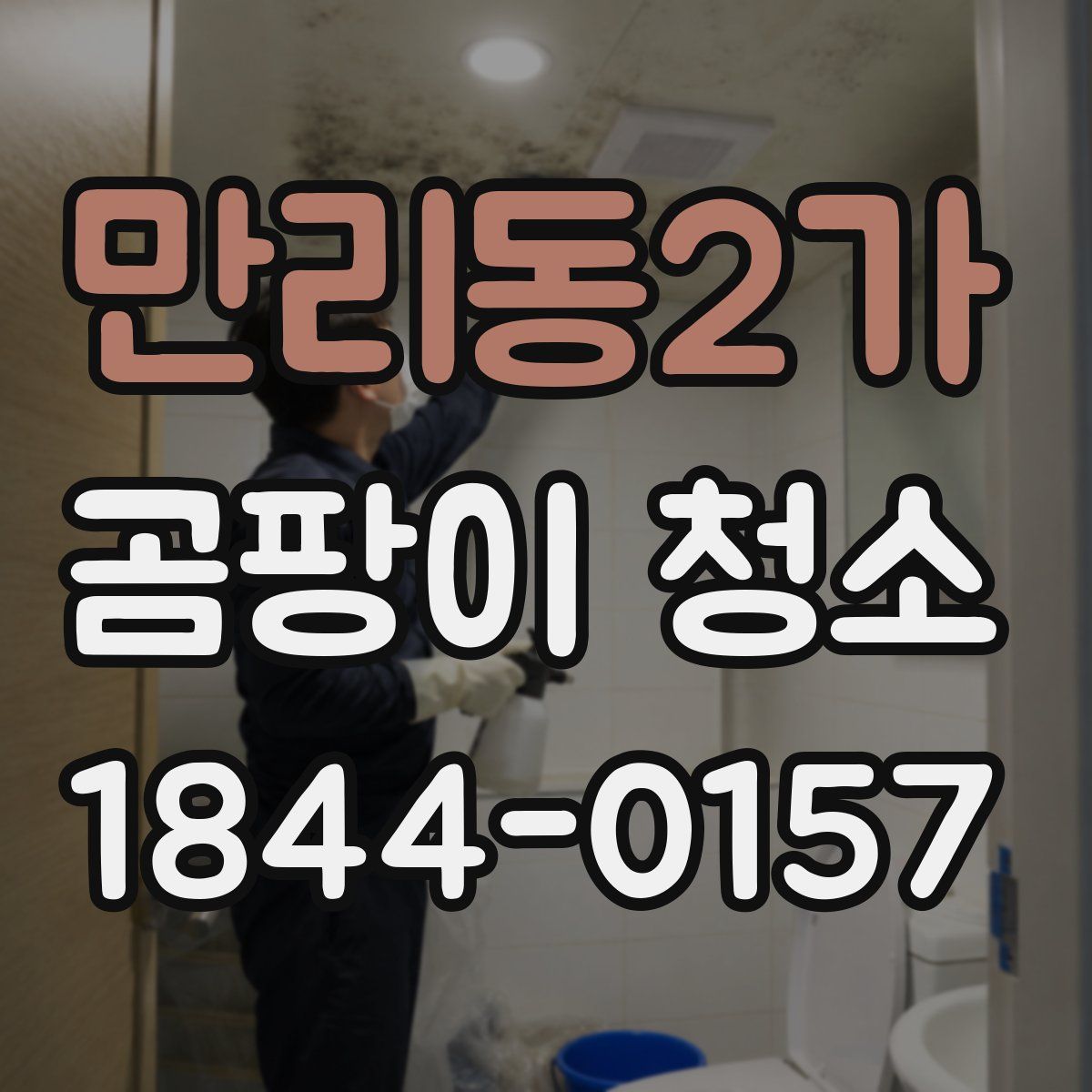 만리동2가 곰팡이 청소