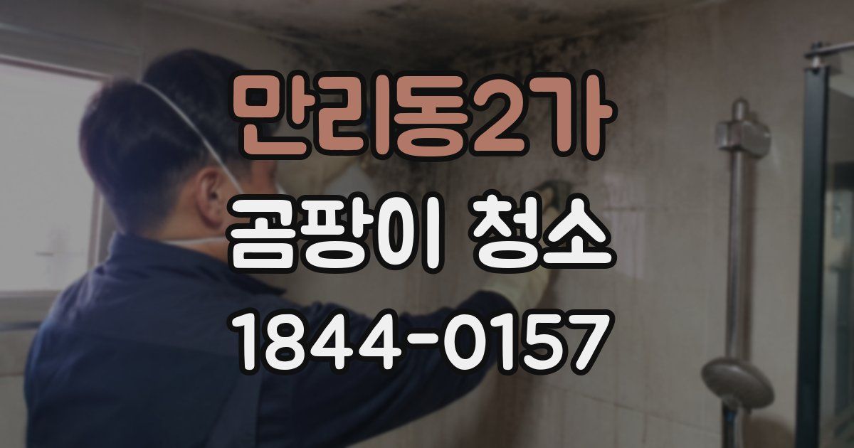 만리동2가 곰팡이 청소