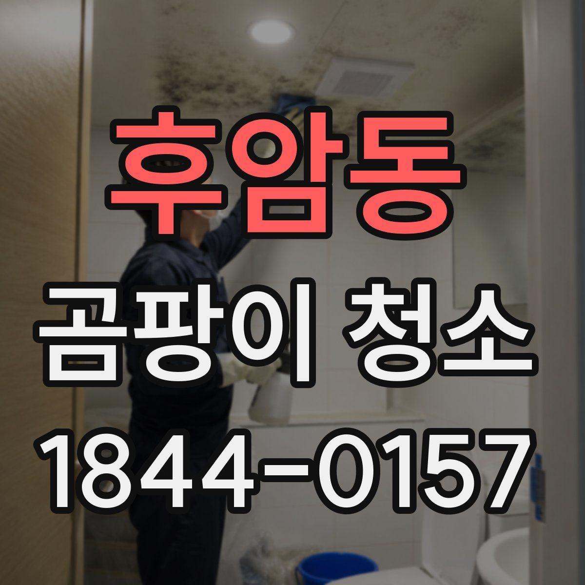 후암동 곰팡이 청소
