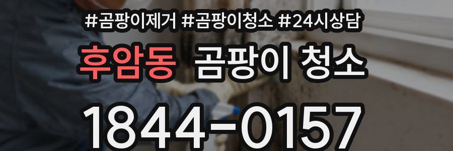 후암동 곰팡이 청소
