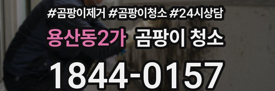 용산동2가 곰팡이 청소
