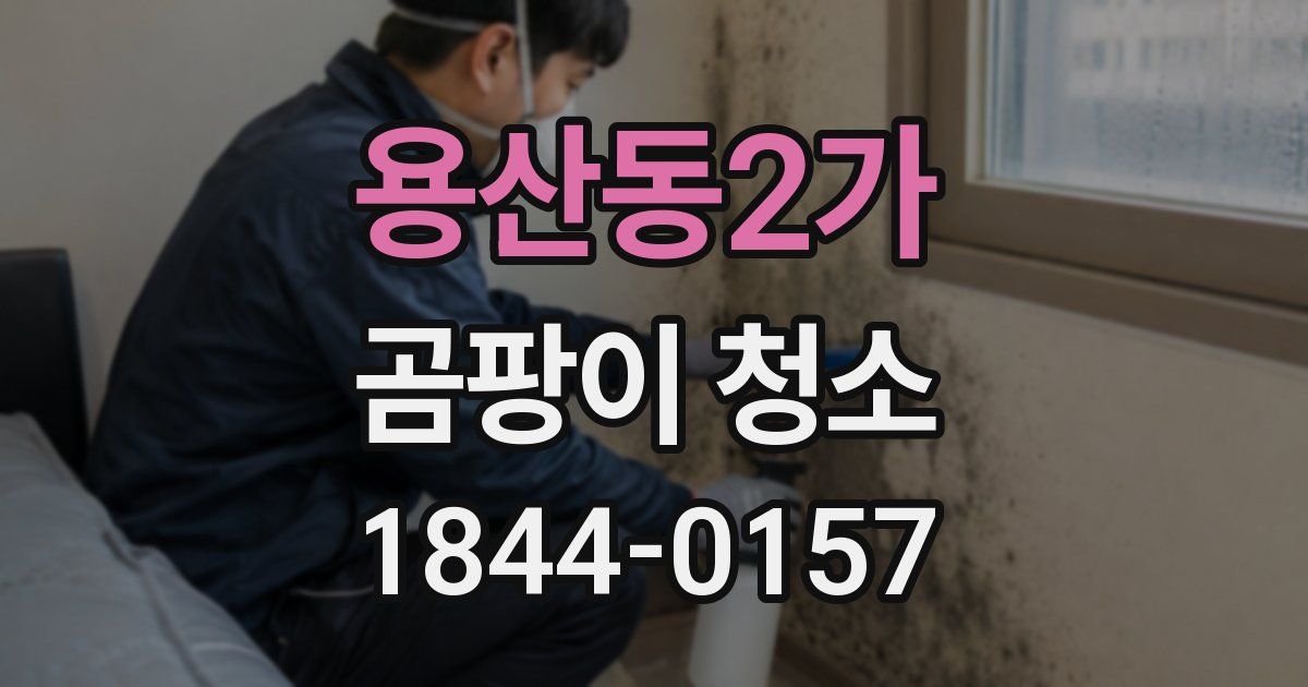 용산동2가 곰팡이 청소
