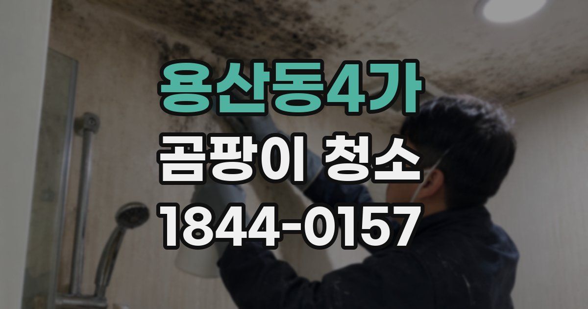 용산동4가 곰팡이 청소