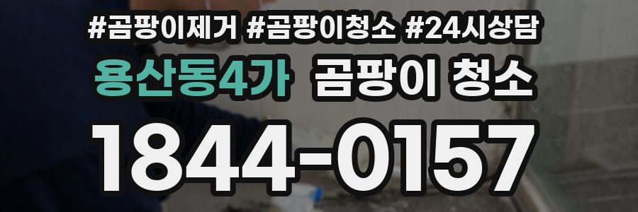 용산동4가 곰팡이 청소