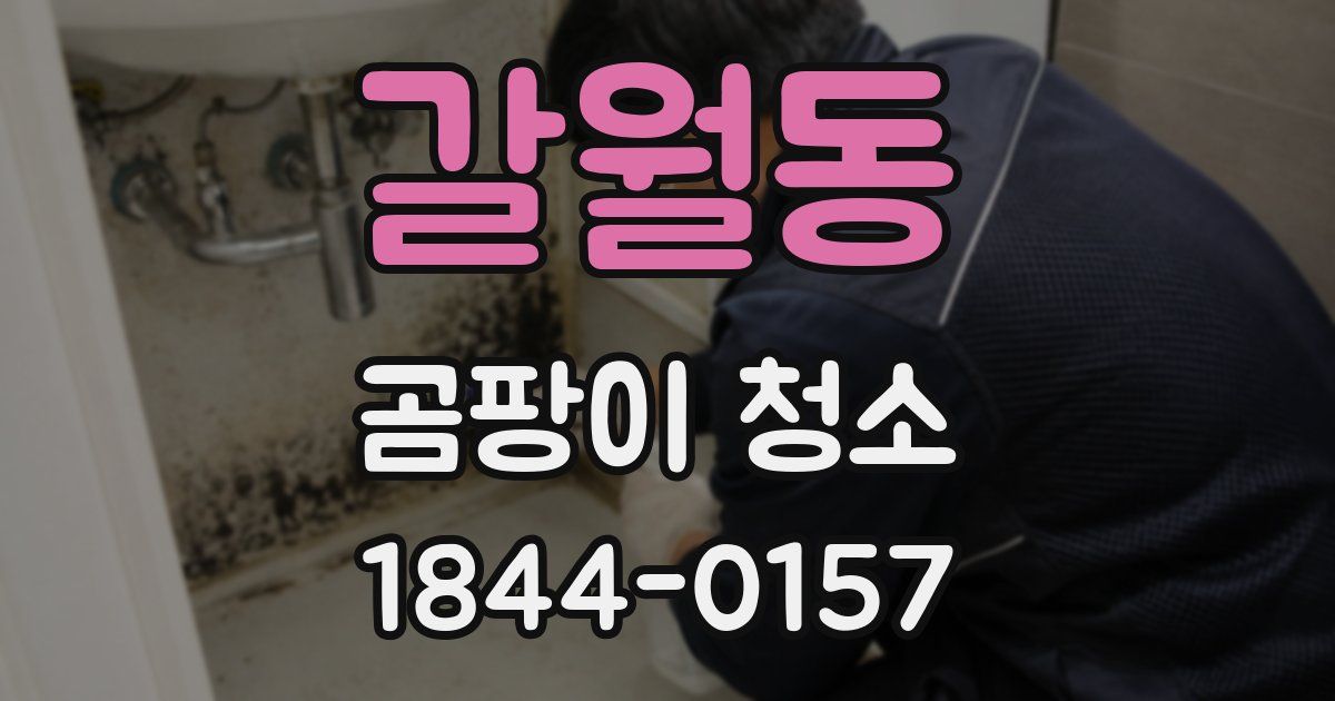 갈월동 곰팡이 청소