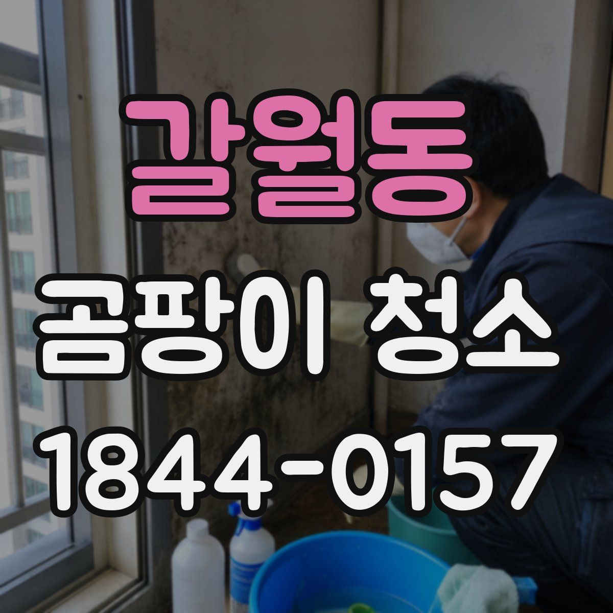 갈월동 곰팡이 청소