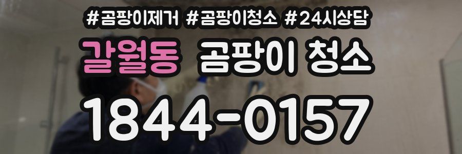 갈월동 곰팡이 청소