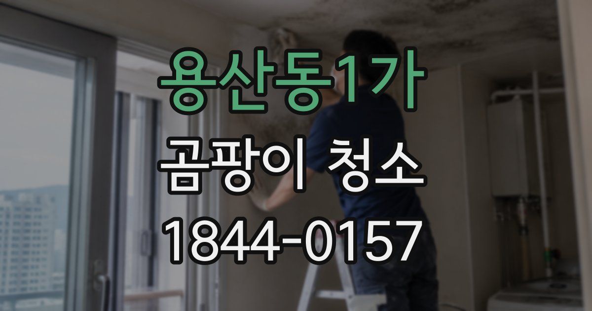 용산동1가 곰팡이 청소