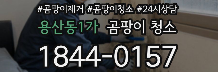 용산동1가 곰팡이 청소