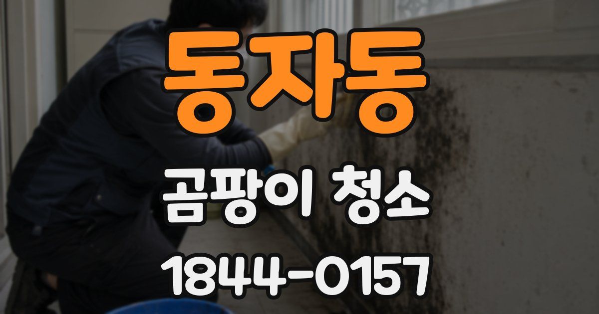 동자동 곰팡이 청소