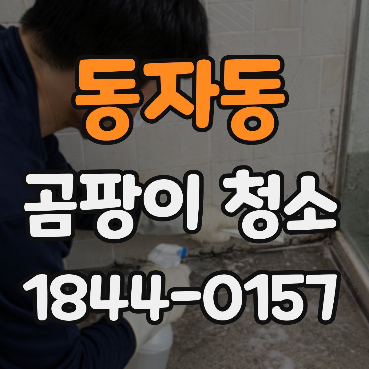 동자동 곰팡이 청소